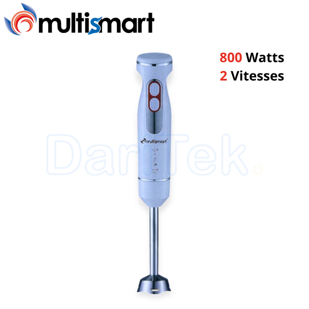 Bras Mixeur 800W 2 Vitesses Inox Multismart MS-HB2105