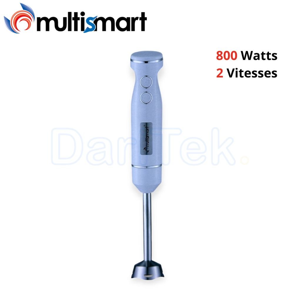 Bras Mixeur 800W 2 Vitesses Inox Multismart MS-HB2103