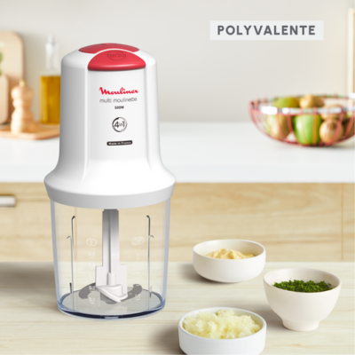 مفرمة كهربائية 4 في 1 – 500 واط 500 مل سرعتان - Moulinex Multi Moulinette AT710110 DariTek