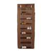 Porte Chaussures 9 étages - Armoire De Rangement pour Chaussures 60 X 30 X 160 Cm DariTek
