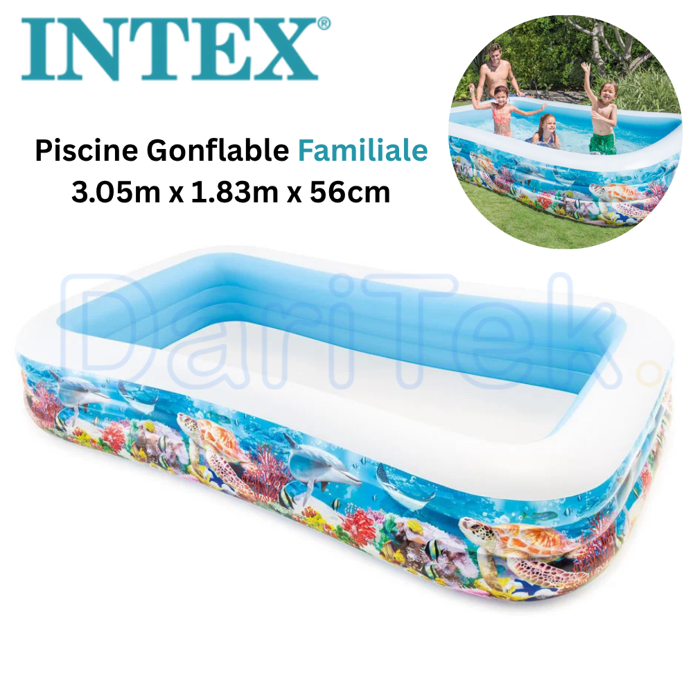 Piscine Gonflable Familiale Aquarium 305 x 183 x 56 cm Intex 58485