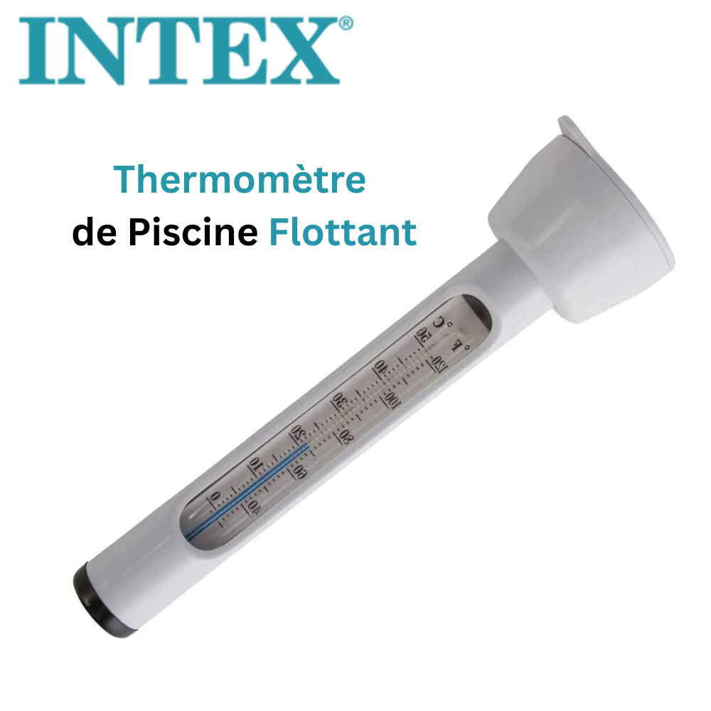 Thermomètre de Piscine Flottant INTEX 29039