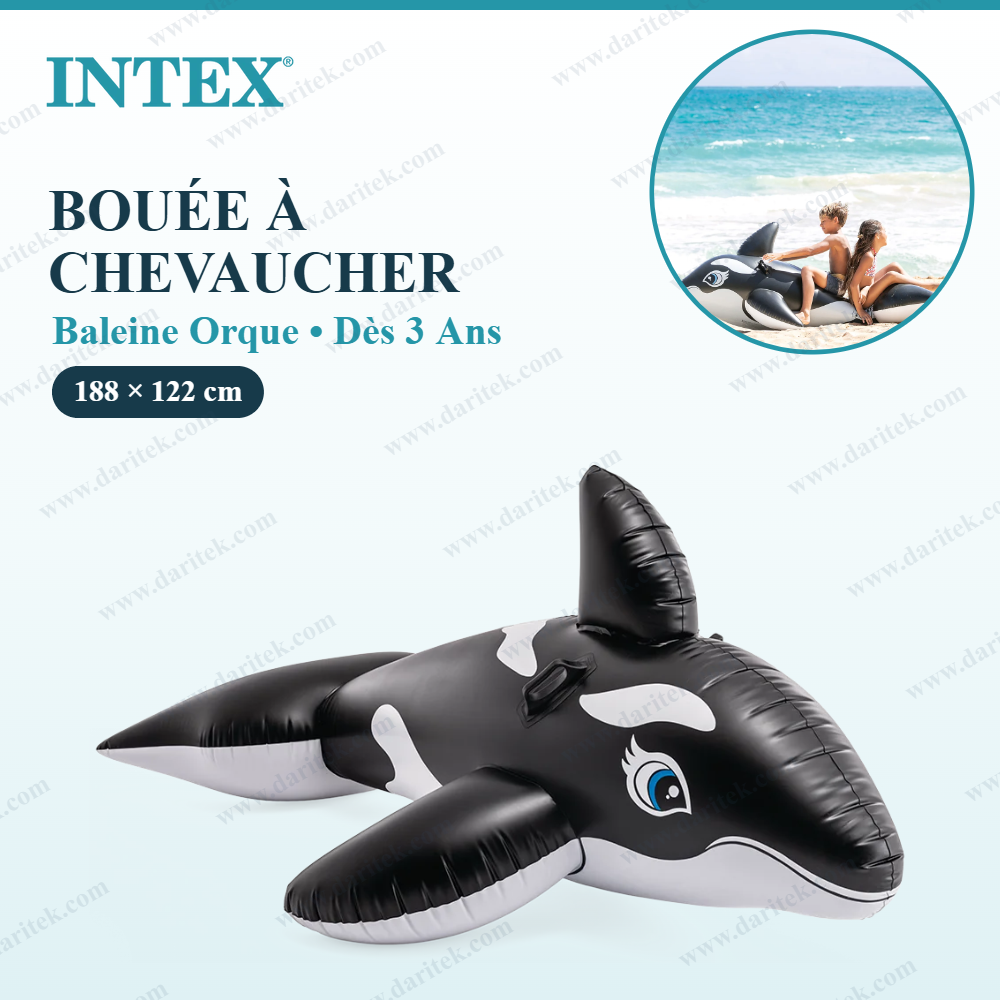 Bouée Gonflable à Chevaucher Grande Baleine Orque – Animal Flottant Enfant avec Poignées dès 3 Ans 188 x 122 cm – INTEX 58561