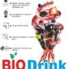 Extracteur de Jus Pressage à Froid 600 ml 100 W – ROBUSTE Bio Drink – Image 7